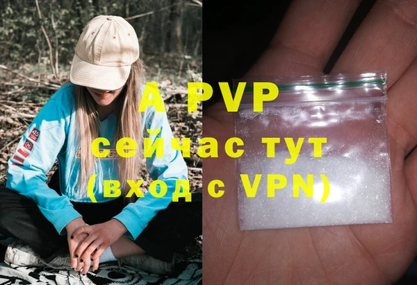 спайс Беломорск