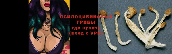 метадон Белокуриха