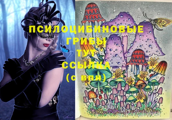 метадон Белокуриха